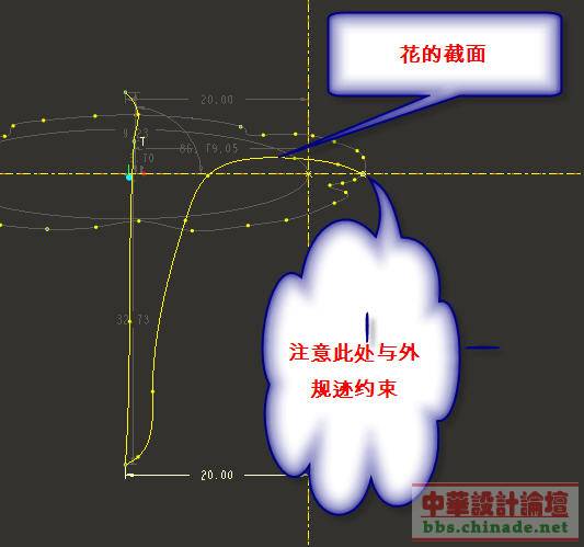 花的截面.jpg