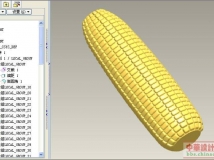 玉米阵列简易教程附prt下载